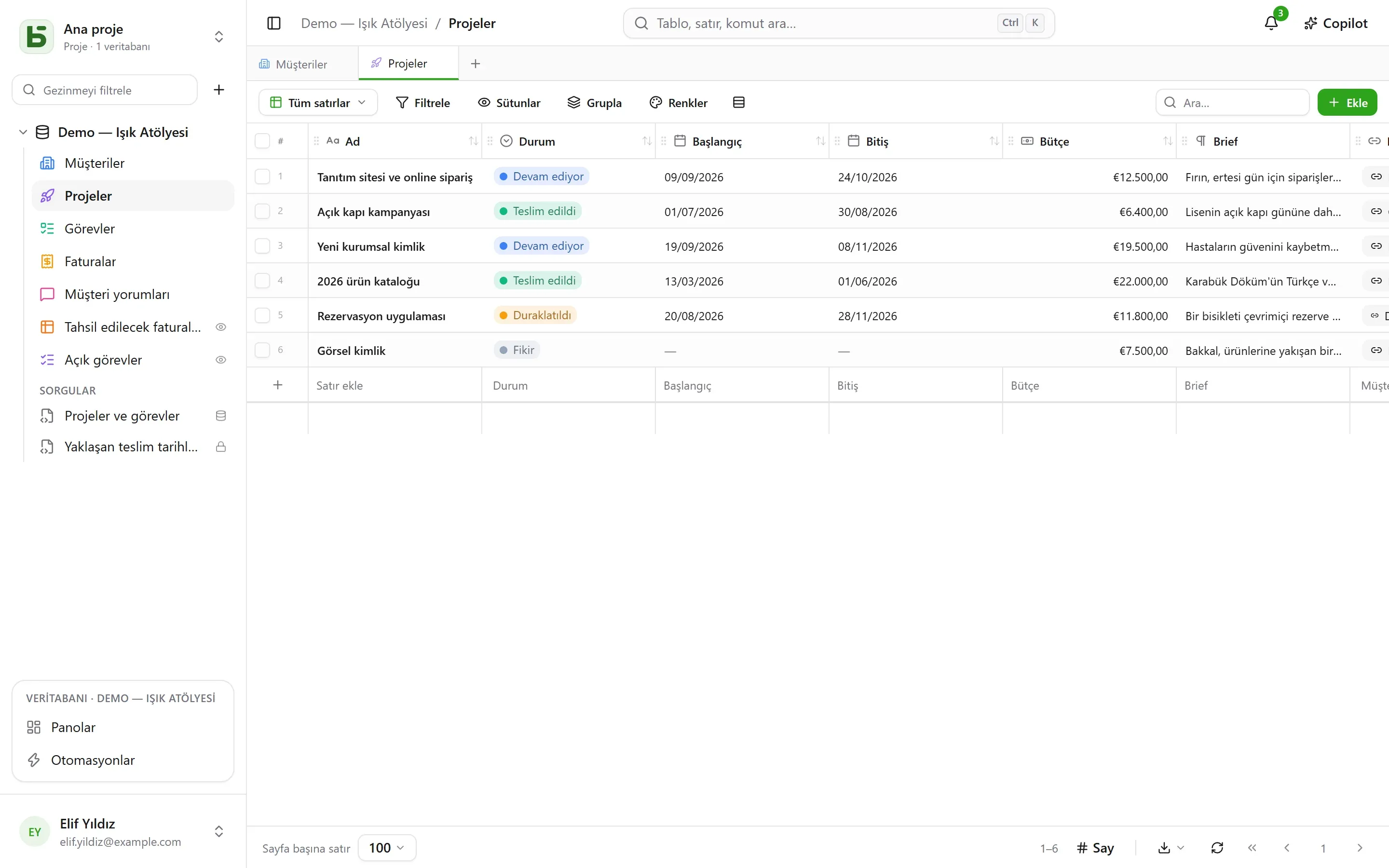 basedb'de bir tablonun ızgarası